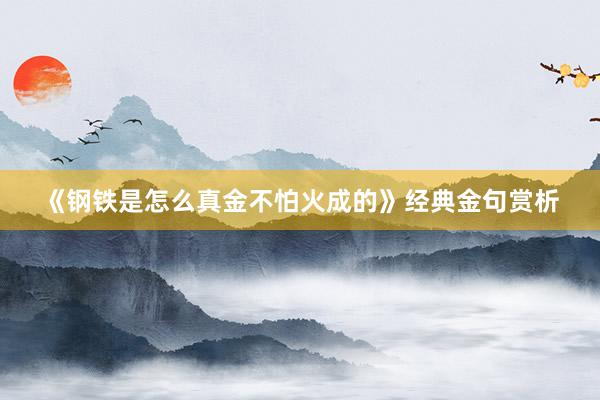 《钢铁是怎么真金不怕火成的》经典金句赏析